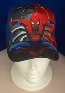 Boys Spiderman Hat